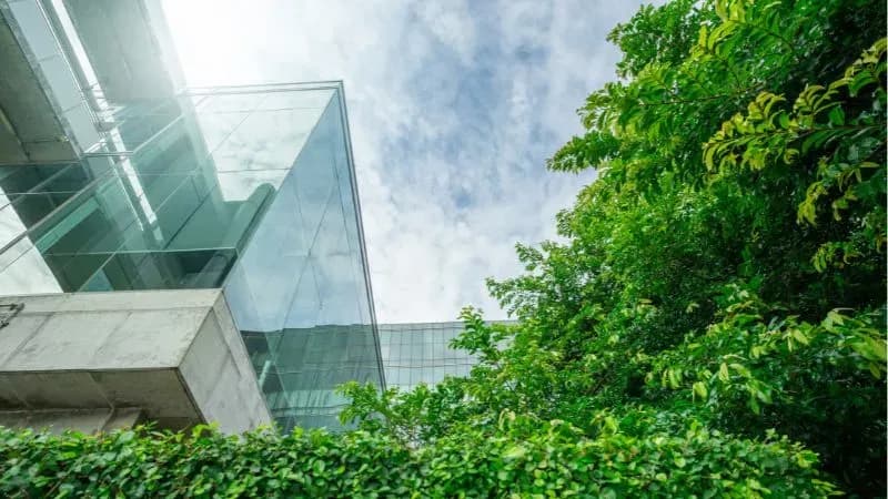 Obliczanie śladu węglowego organizacji